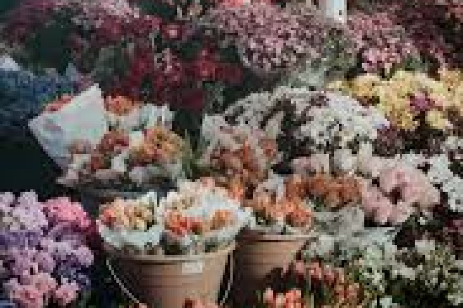 German classes from beginner to pro